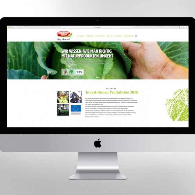 Elofrost Homepage Webdesign